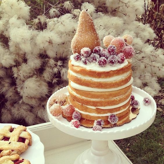Single tiered naked cake with candied fruit